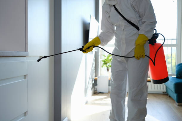Best Crawl Space Mold Removal  in Black River Falls, WI