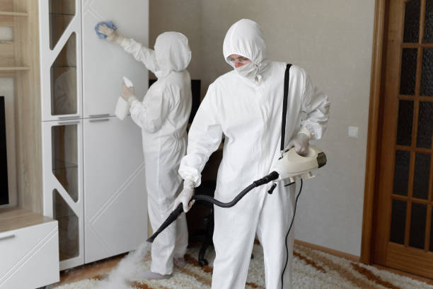 Mold Removal Process in Black River Falls, WI