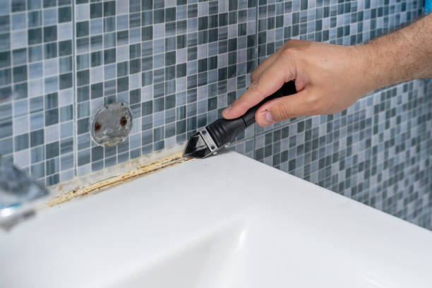 Best Best Mold Removal Companies  in Black River Falls, WI