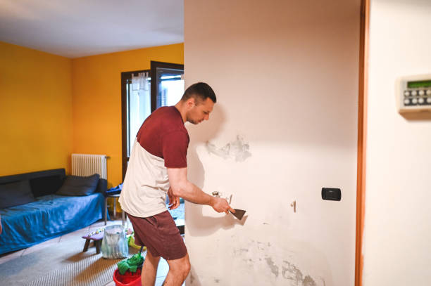 Best Mold Testing  in Black River Falls, WI